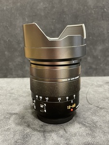 Panasonic Lumix 12-60mm f/2.8-4.0 ASPH Lens